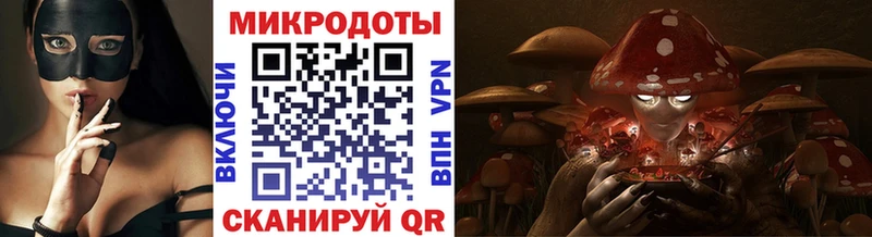 Галлюциногенные грибы MAGIC MUSHROOMS  Кедровый 